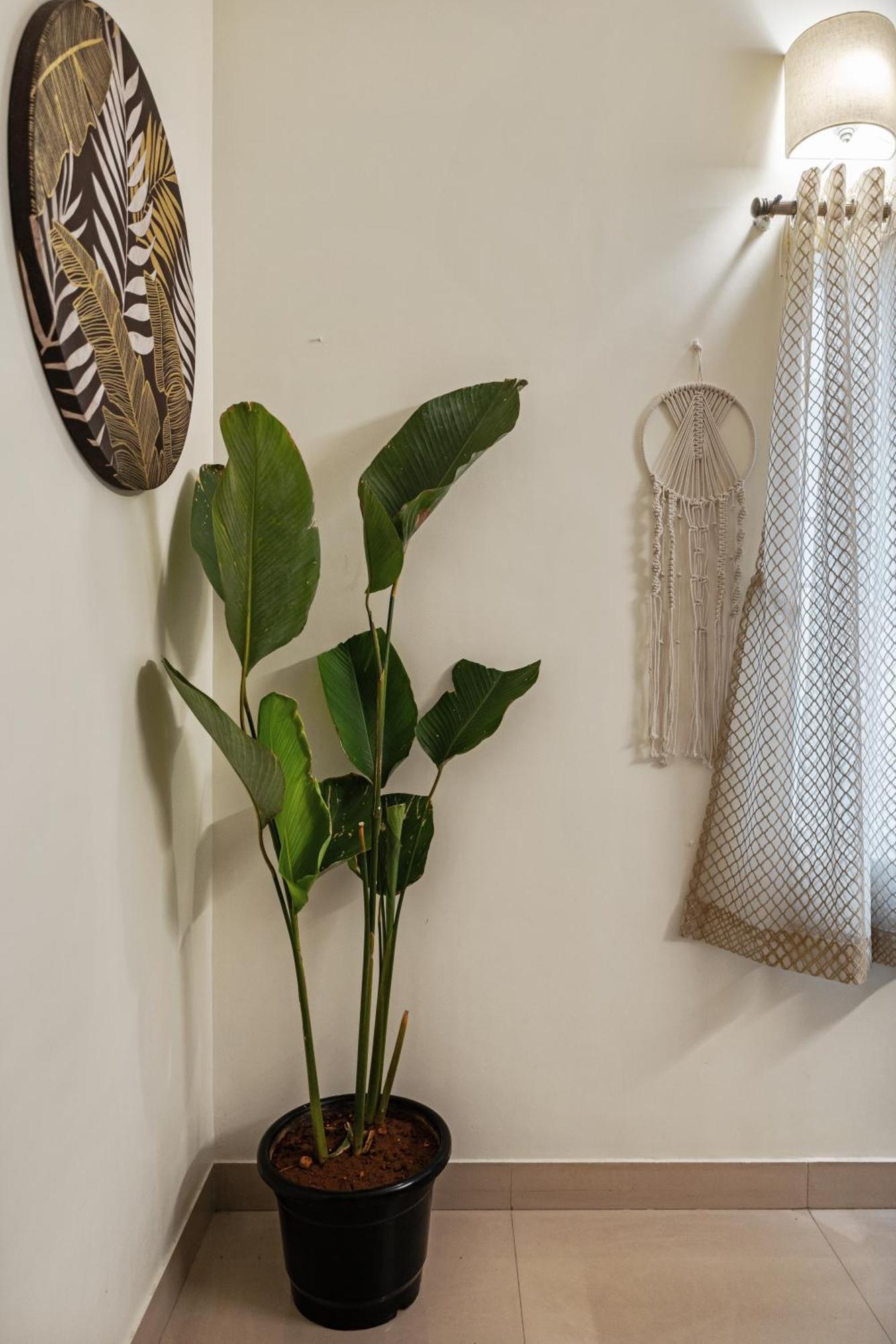 הוילה העיר בנגלור House Of 2 Tress Penthouse מראה חיצוני תמונה
